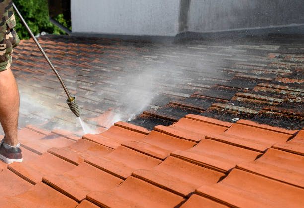 Roof Power Washing Services in Woodbine, NJ