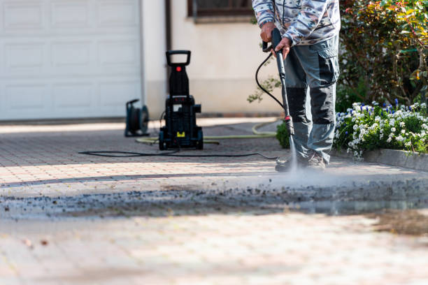 Best House Pressure Washing  in Woodbine, NJ