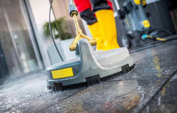 Best Roof Pressure Washing  in Woodbine, NJ