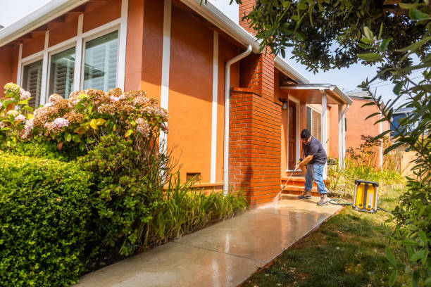 Best Pressure Washing Estimates  in Woodbine, NJ