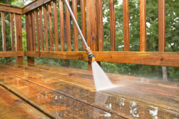 Best Affordable Pressure Washing  in Woodbine, NJ