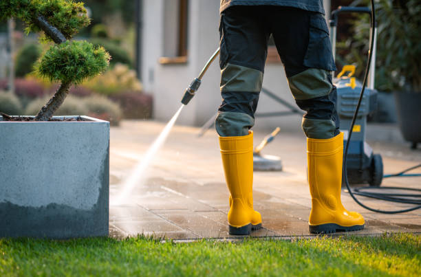 Best Pressure Washing Services Near Me  in Woodbine, NJ